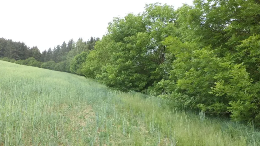 Prodej pozemku, Pohledy - Horní Hynčina, 1135 m2