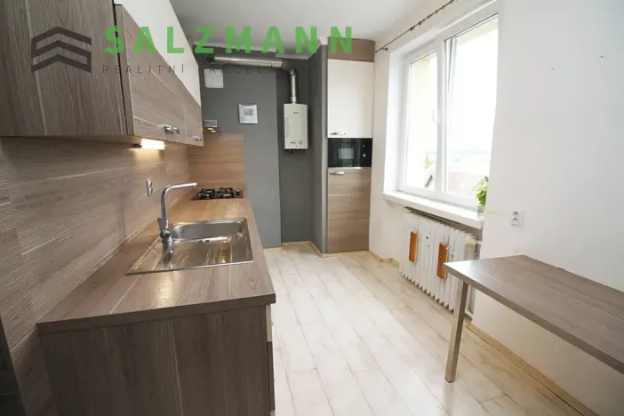 Pronájem bytu 3+1, Plzeň, Pod Švabinami, 74 m2