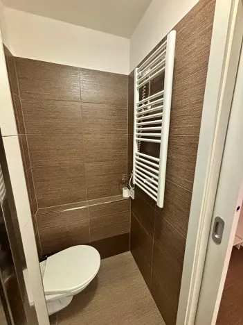 Pronájem bytu 1+kk, Slaný, Všehlušická, 27 m2