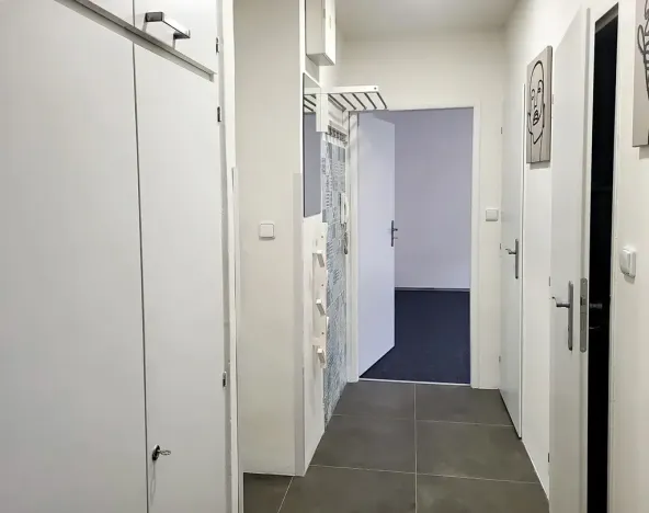 Pronájem bytu 2+1, Brno, Dřevařská, 51 m2