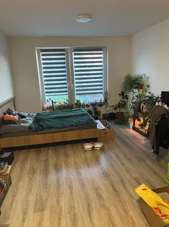 Pronájem bytu 1+kk, Pardubice, Na Spravedlnosti, 36 m2