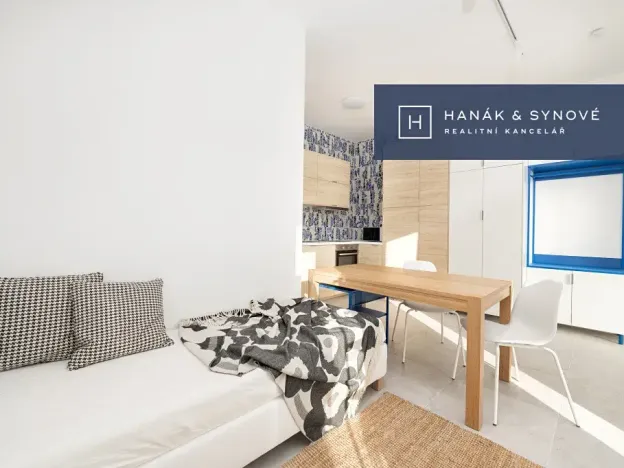 Pronájem bytu 1+kk, Brno, Francouzská, 25 m2