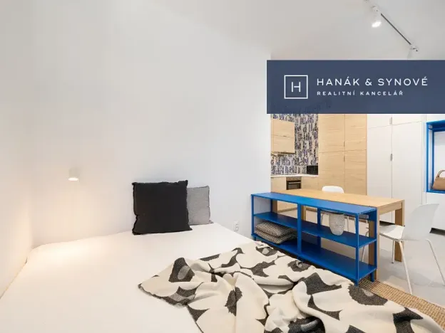 Pronájem bytu 1+kk, Brno, Francouzská, 25 m2