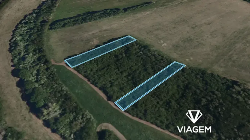 Prodej lesa, Kurdějov, 2462 m2