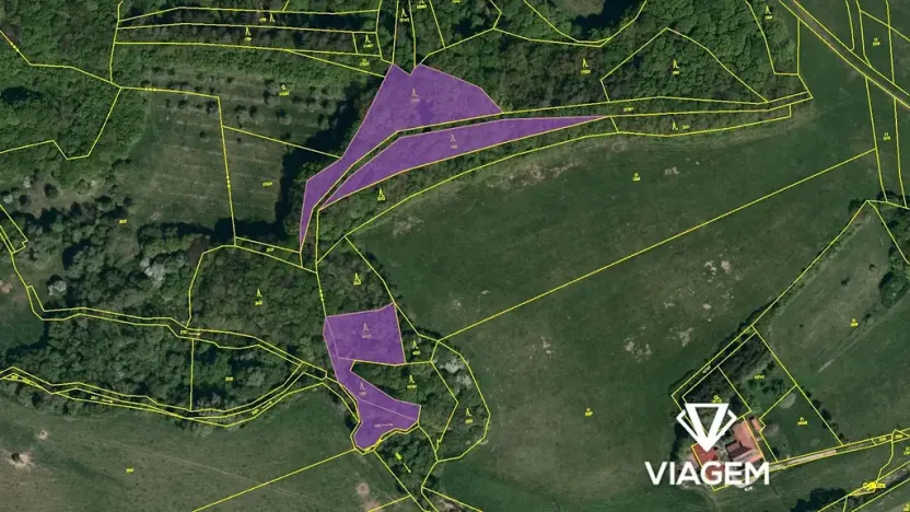 Prodej podílu lesa, Bohuslavice nad Vláří, 2999 m2