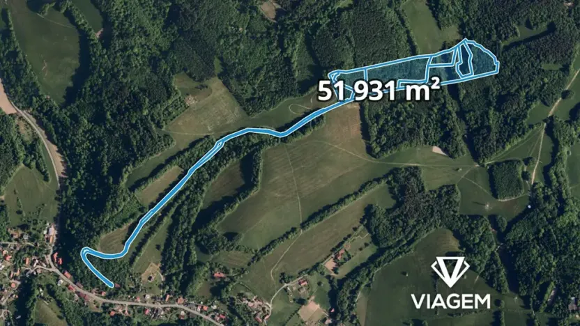 Prodej podílu lesa, Metylovice, 12982 m2