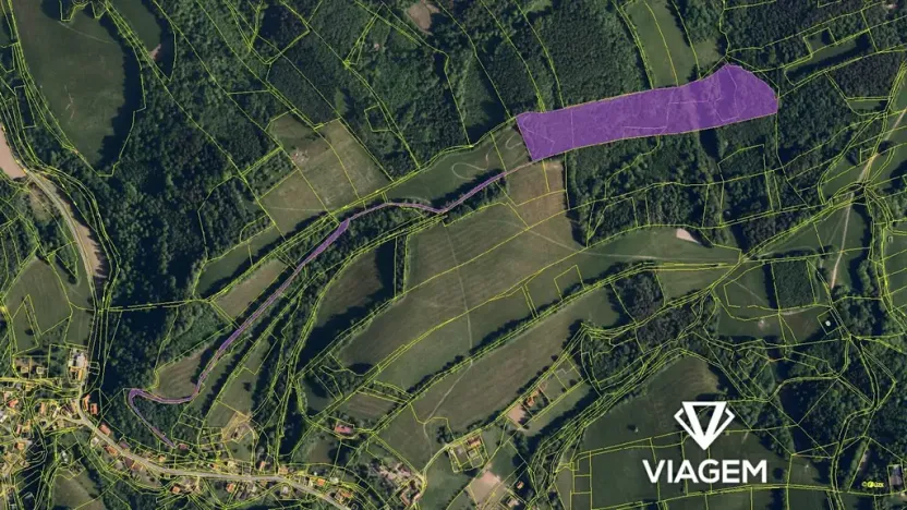 Prodej podílu lesa, Metylovice, 12982 m2