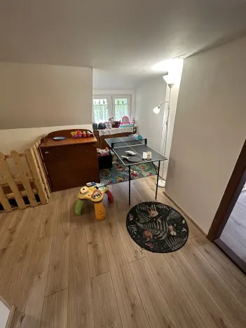 Prodej chalupy, Desná, Krkonošská, 380 m2
