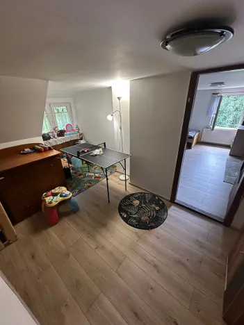 Prodej chalupy, Desná, Krkonošská, 380 m2
