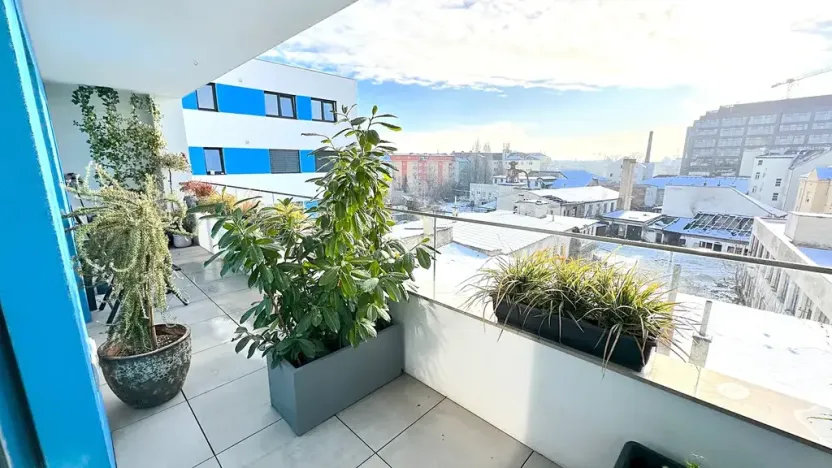Pronájem bytu 2+kk, Brno, Křenová, 72 m2