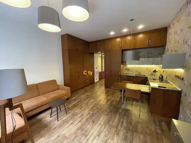 Pronájem bytu 1+kk, Praha - Vinohrady, Jana Masaryka, 52 m2