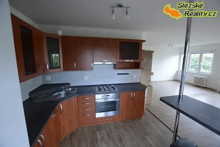 Prodej bytu 2+kk, Ostrava, Řecká, 65 m2