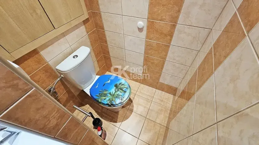 Pronájem bytu 2+1, Opava, Na Pastvisku, 44 m2