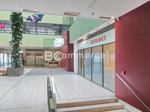 Pronájem obchodního prostoru, Brno, 214 m2