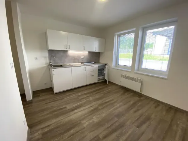 Pronájem bytu 1+kk, Brno - Maloměřice, Hády, 18 m2