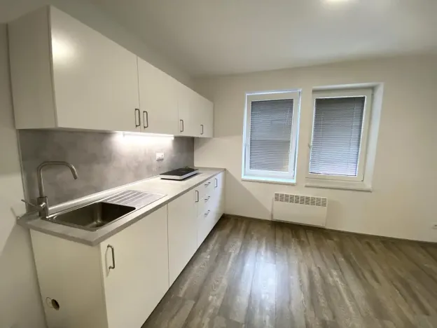 Pronájem bytu 1+kk, Brno - Maloměřice, Hády, 18 m2