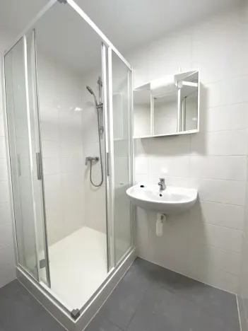 Pronájem bytu 1+kk, Brno - Maloměřice, Hády, 18 m2