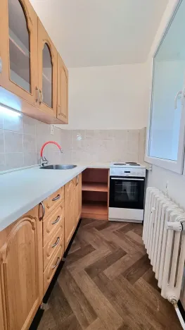 Pronájem bytu 1+1, Bílina, Aléská, 36 m2