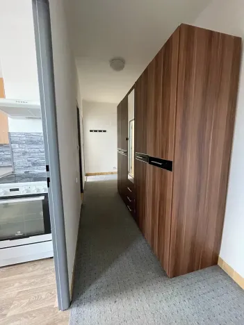 Pronájem bytu 1+1, Doudleby nad Orlicí, U Bažantnice, 42 m2