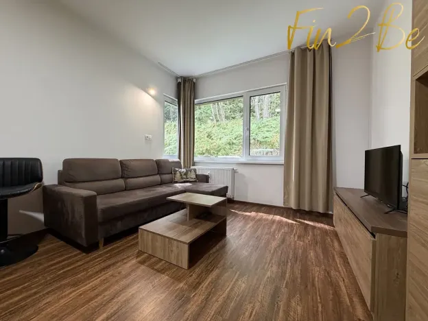 Pronájem bytu 1+kk, Ostrov - Horní Žďár, 28 m2