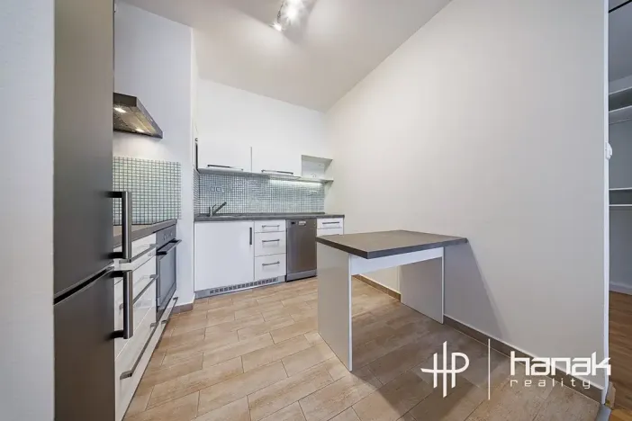 Pronájem bytu 1+kk, Olomouc, Mošnerova, 42 m2