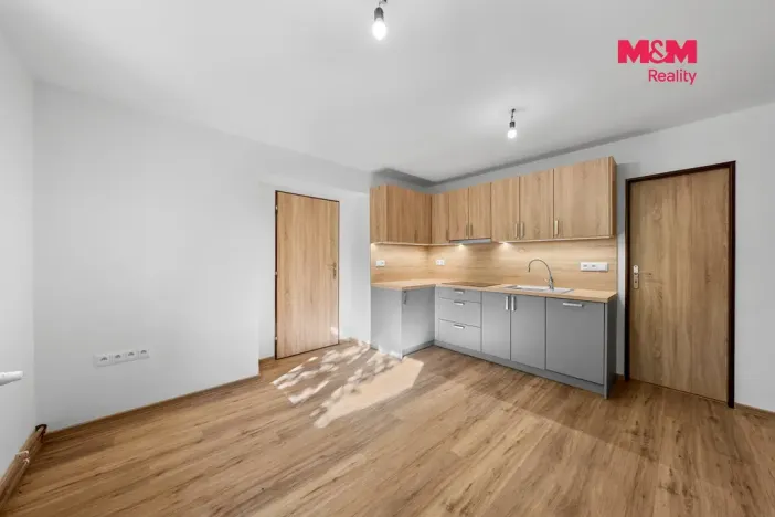Prodej rodinného domu, Blšany u Loun, 400 m2