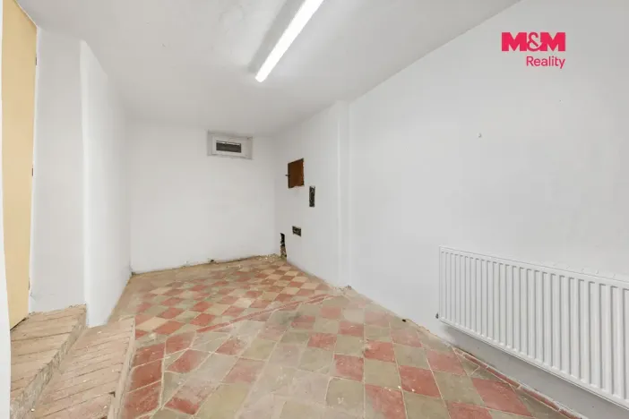 Prodej rodinného domu, Blšany u Loun, 400 m2