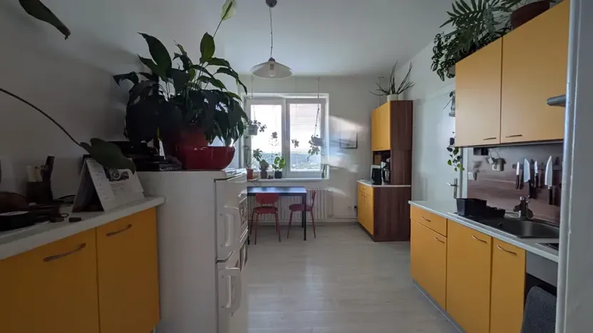 Pronájem bytu 1+1, Zlín, 40 m2