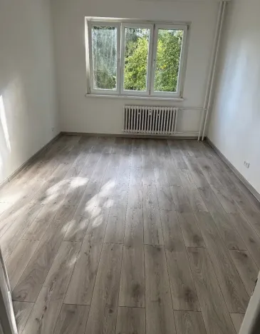 Pronájem bytu 2+1, Chodov, Revoluční, 60 m2