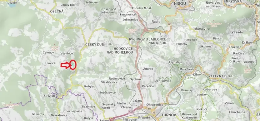 Prodej lesa, Všelibice, 12954 m2