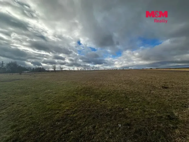 Prodej pozemku pro bydlení, Větřkovice, 4806 m2