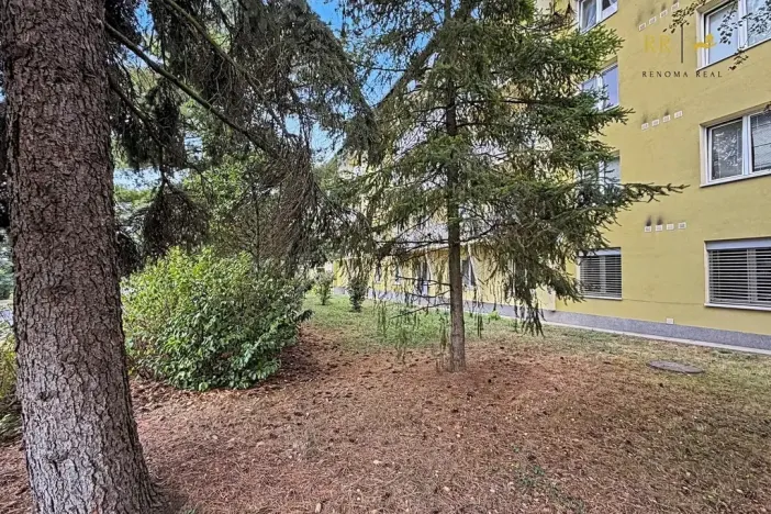 Pronájem bytu 2+1, Tišnov, Jamborova, 50 m2