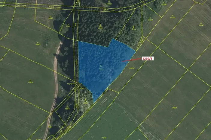 Dražba lesa, Volfířov, 3832 m2