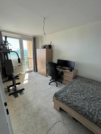 Prodej podílu bytu 1+1, Česká Lípa, Komenského, 45 m2