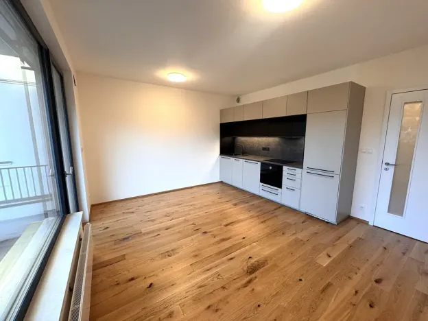 Pronájem bytu 2+kk, Praha - Nusle, Závišova, 41 m2