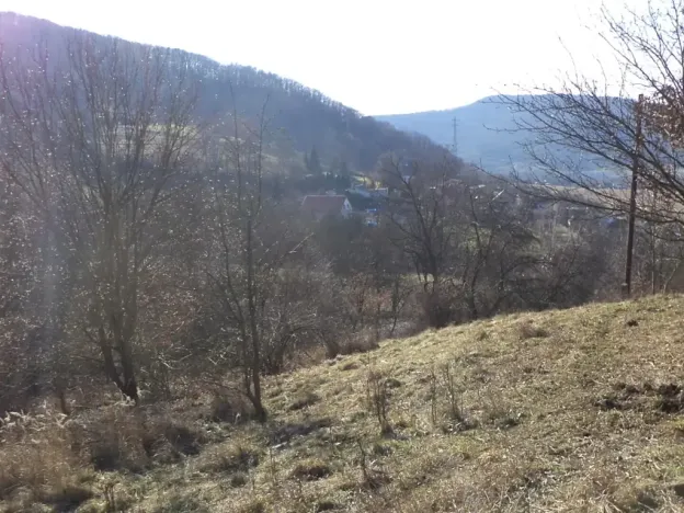 Dražba zahrady, Trmice, 640 m2