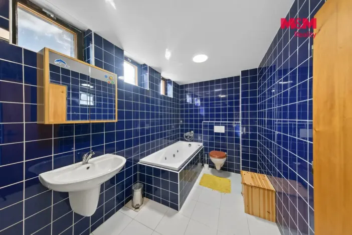 Prodej rodinného domu, Říčany - Pacov, V Chatách, 180 m2