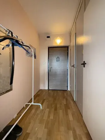 Prodej bytu 1+kk, Ostrava - Zábřeh, Petruškova, 30 m2