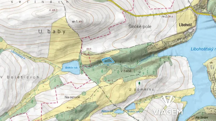 Prodej podílu lesa, Vrchotovy Janovice, 515 m2