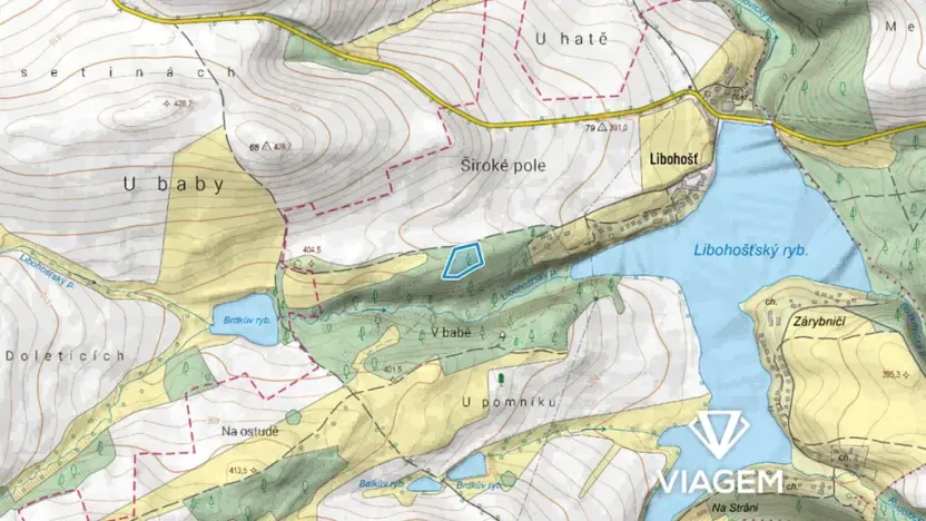 Prodej podílu lesa, Vrchotovy Janovice, 650 m2