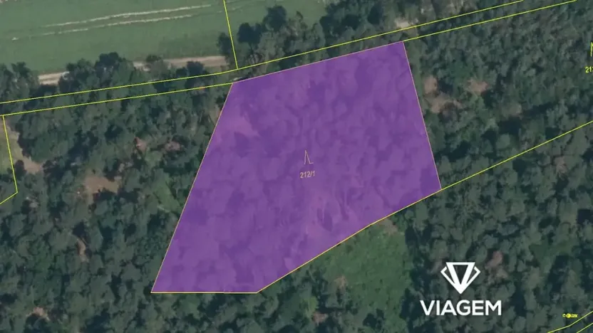 Prodej podílu lesa, Vrchotovy Janovice, 650 m2
