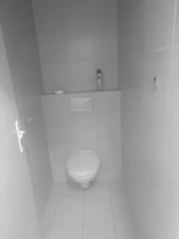 Pronájem obchodního prostoru, Brno - Zábrdovice, Cejl, 135 m2