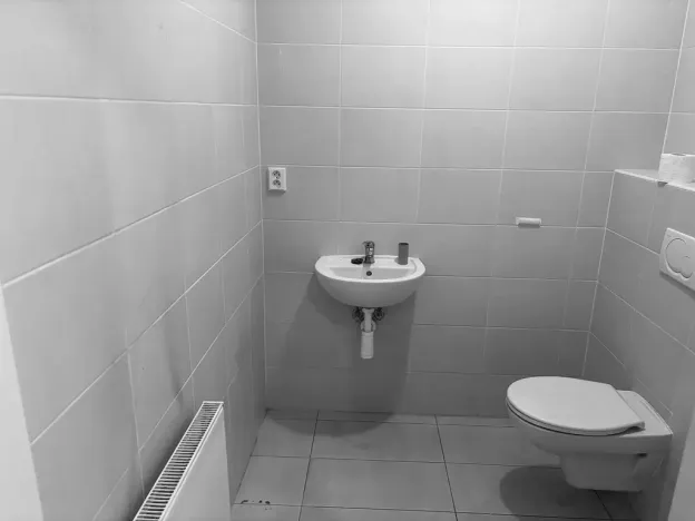 Pronájem obchodního prostoru, Brno - Zábrdovice, Cejl, 135 m2