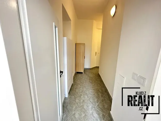 Pronájem bytu 1+kk, Praha - Žižkov, Seifertova, 50 m2