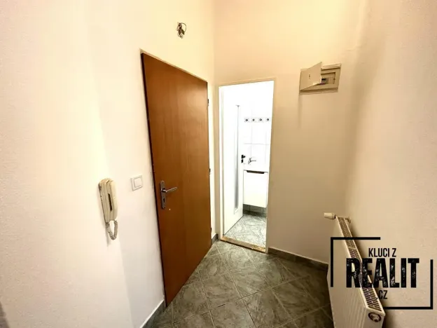 Pronájem bytu 1+kk, Praha - Žižkov, Seifertova, 50 m2