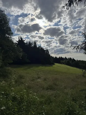 Prodej podílu lesa, Proseč pod Ještědem, 3598 m2