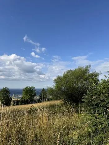 Prodej podílu lesa, Proseč pod Ještědem, 3598 m2