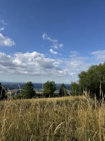 Prodej podílu lesa, Proseč pod Ještědem, 3598 m2