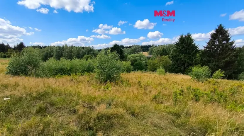 Prodej louky, Mikuleč, 748 m2