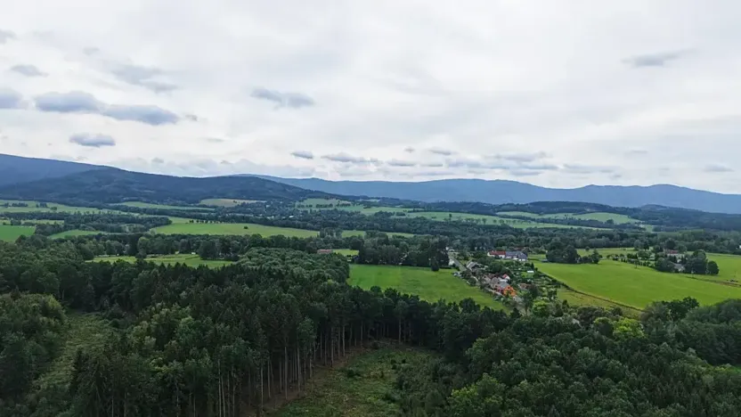 Prodej pole, Nové Město pod Smrkem, 8555 m2
